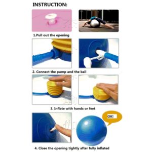 Gym Ball Online Store India with Gym Ball Size chart Gym Ball Exercise chart