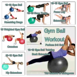 Gym Ball Exercise Online India