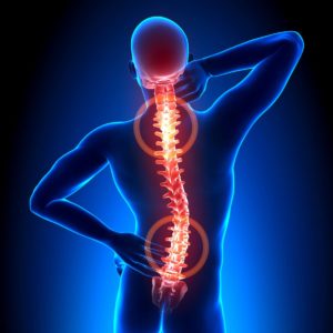 spine diseases