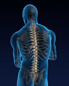 spine diseases